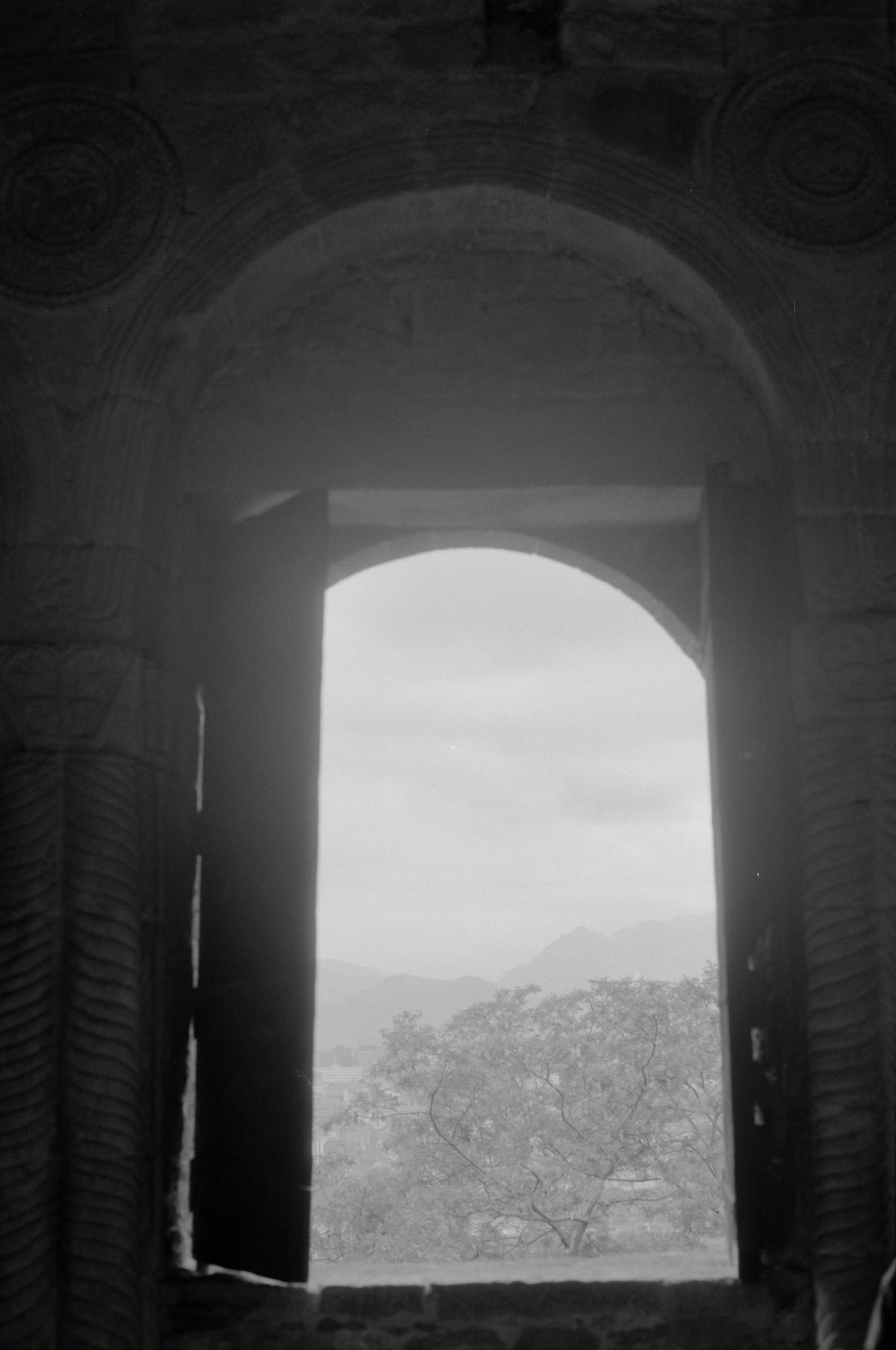 AHP F1995 05 011 sc240827 img08 NLP